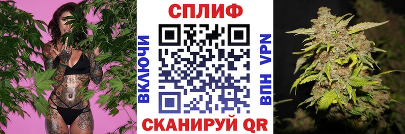 Бошки марихуана марихуана  Тетюши 